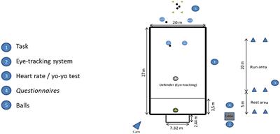 The Effects of Physiological Demands on Visual Search Behaviours During 2 vs. 1 + GK Game Situations in Football: An in-situ Approach